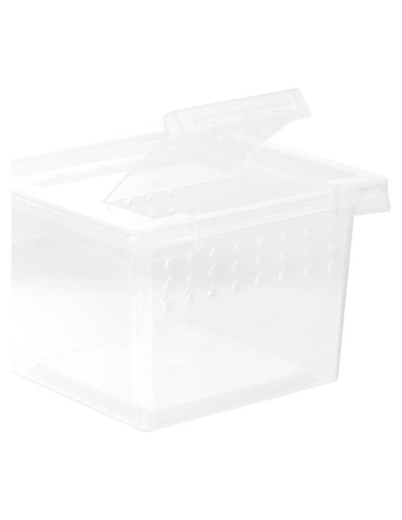 Caja de Crianza para Reptiles FRCOLOR 7x7x4.5cm Transparente Caja de Crianza para Reptiles FRCOLOR 7x7x4.5cm Transparente