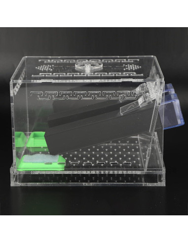 Caja de Alimentación Acrílica Grande 50x35x25cm para Insectos