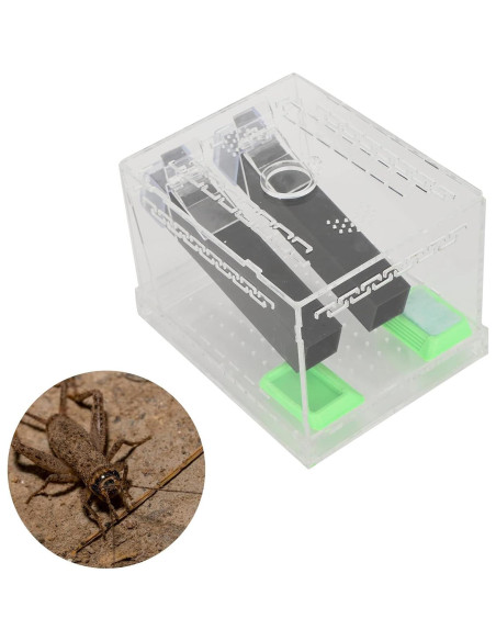 Caja de Alimentación Acrílica Grande 50x35x25cm para Insectos Caja de Alimentación Acrílica Grande 50x35x25cm para Insectos