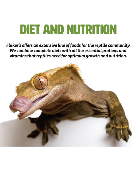 Dieta Completa para Insectos Fluker Cubo Naranja 170 g Dieta Completa para Insectos Fluker Cubo Naranja 170 g