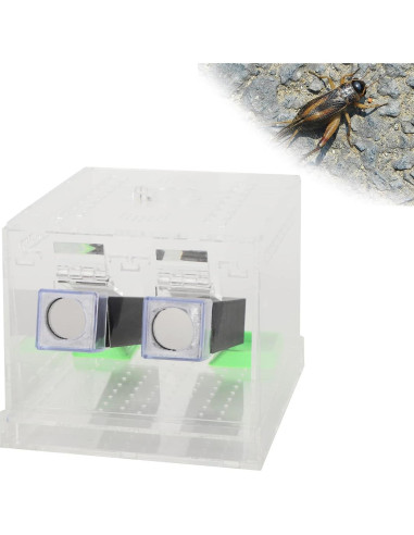 Caja de Alimentación Acrílica Grande 50x35x25cm para Insectos