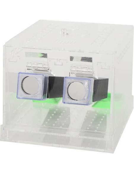 Caja de Alimentación Acrílica Grande 50x35x25cm para Insectos Caja de Alimentación Acrílica Grande 50x35x25cm para Insectos