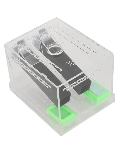 Caja de Alimentación Acrílica Grande 50x35x25cm para Insectos