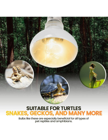 Bombillas de Calor para Reptiles CALPALMY 100W - Paquete de 4