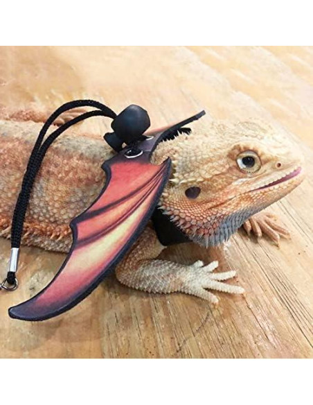 Arnés y Correa Ajustable para Lagarto Dragón Barbudo ADOGGYGO Arnés y Correa Ajustable para Lagarto Dragón Barbudo ADOGGYGO