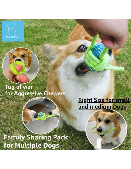 Fetch Juguete Interactivo para Perros Pequeños y Medianos - 4 Pelotas con Cuerda Fetch Juguete Interactivo para Perros Pequeños y Medianos - 4 Pelotas con Cuerda