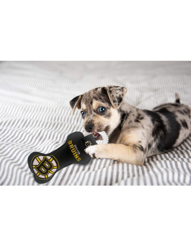 Juguete Dental para Perros Pets First Boston Bruins 5cm