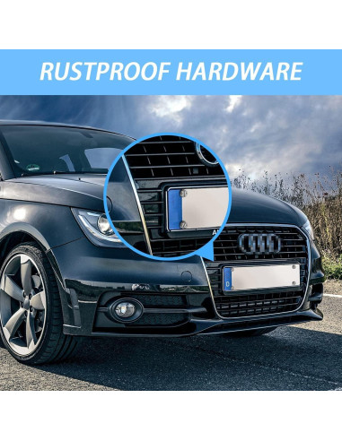 Tornillos Universales Moly Magnolia para Placas de Matrícula - 16 Piezas