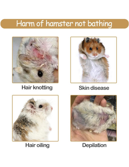 Arena de Baño Natural para Hámster MUYG 2.3kg Libre de Polvo Arena de Baño Natural para Hámster MUYG 2.3kg Libre de Polvo