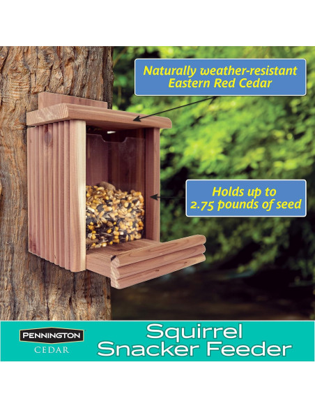 Alimentador para Ardillas Pennington de Cedro 1.24 kg Alimentador para Ardillas Pennington de Cedro 1.24 kg