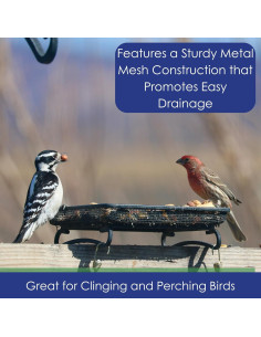 Comedero de Aves y Vida Silvestre Backyard Essentials 2 Tazas 2