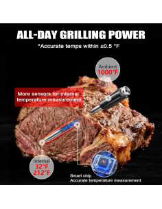 Termómetro Digital Inalámbrico KylosTherm JX369 para Carne 2