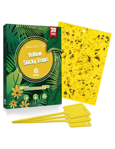 Trampas Adhesivas Amarillas Gideal 30 Pack 20.32x15.24 cm