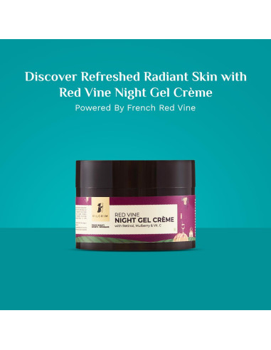 Crema de Noche Anti-Envejecimiento Pilgrim 50g con Retinol