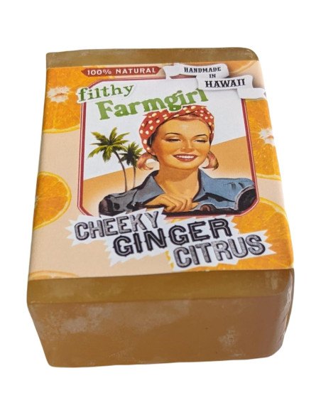 Jabón de Barra Natural Filthy Farmgirl 142g Jengibre Cítrico Jabón de Barra Natural Filthy Farmgirl 142g Jengibre Cítrico