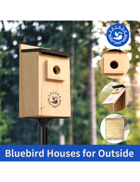 Kit de 2 casas para pájaros de madera HY123 - 12.4x13.5cm Kit de 2 casas para pájaros de madera HY123 - 12.4x13.5cm
