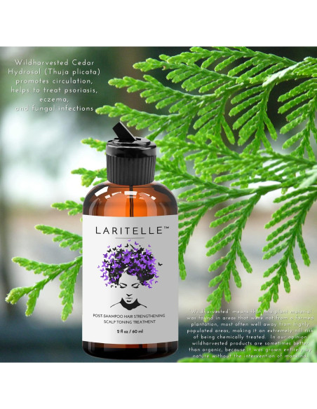 Tratamiento Fortalecedor Cabello Orgánico Laritelle 3 x 60 ml Tratamiento Fortalecedor Cabello Orgánico Laritelle 3 x 60 ml