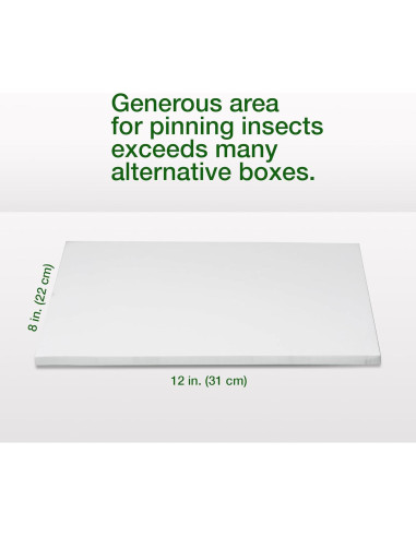 Caja de Clavado de Insectos Making It Work 33x23x6.4 cm