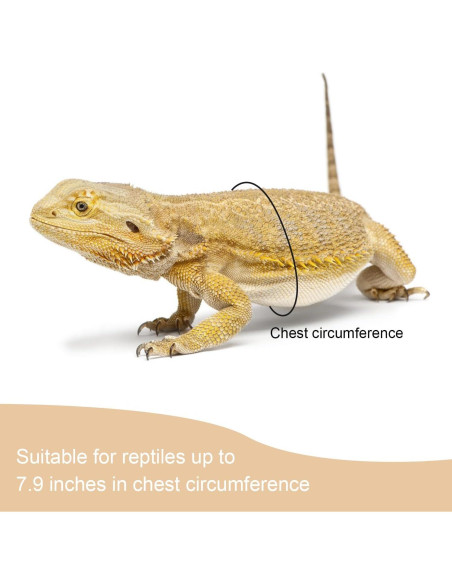 Paquete de 2 Arnés y Correa Ajustable para Reptiles Wontee Negro Paquete de 2 Arnés y Correa Ajustable para Reptiles Wontee Negro