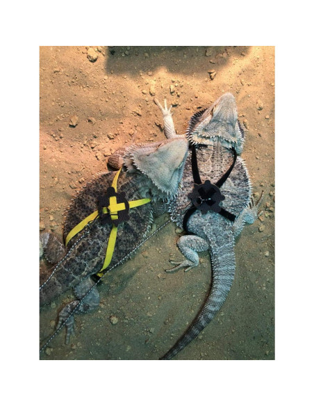 Paquete de 2 Arnés y Correa Ajustable para Reptiles Wontee Negro Paquete de 2 Arnés y Correa Ajustable para Reptiles Wontee Negro