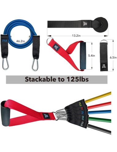 Bandas de Resistencia BOB Y BRAD 125 lbs (56.7 kg) con Accesorios