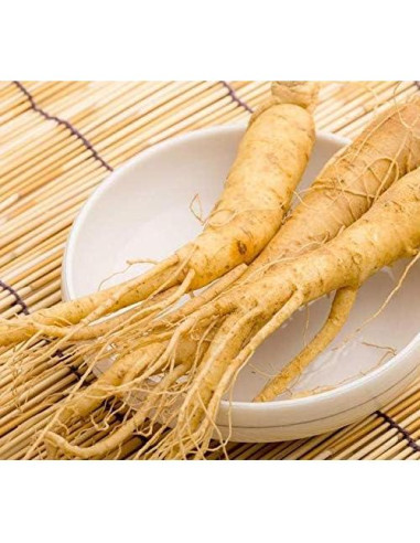 Suplemento Adaptógeno Natural 1Bot - Ginseng, Maca, Amla