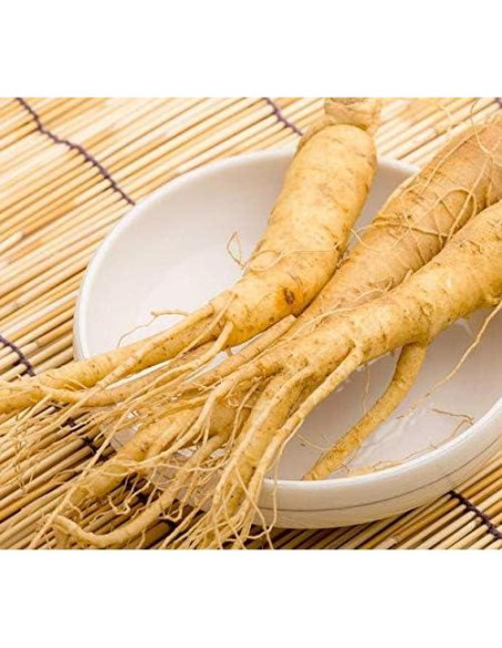 Suplemento Adaptógeno Natural 1Bot - Ginseng, Maca, Amla Suplemento Adaptógeno Natural 1Bot - Ginseng, Maca, Amla