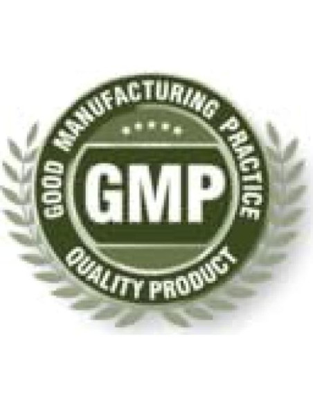 Suplemento Adaptógeno Natural 2Bot - Ginseng, Maca, Amla Suplemento Adaptógeno Natural 2Bot - Ginseng, Maca, Amla