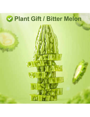 Fruta de Melón Amargo Greenlike 500g - Momordica charantia