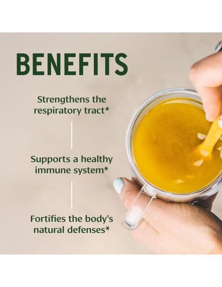 Suplemento Inmunológico Orgánico Banyan Botanicals 99.22g