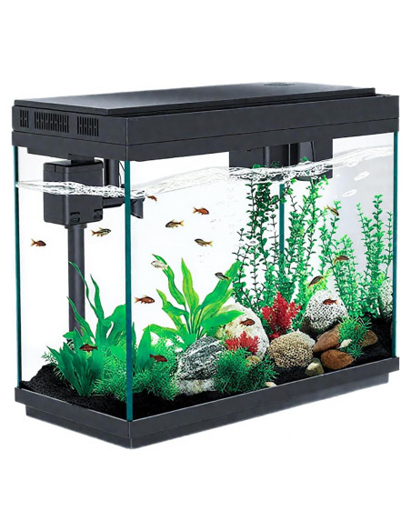 Acuario Inteligente BarkBuddy 9.5 L con Humidificador y Luz Acuario Inteligente BarkBuddy 9.5 L con Humidificador y Luz
