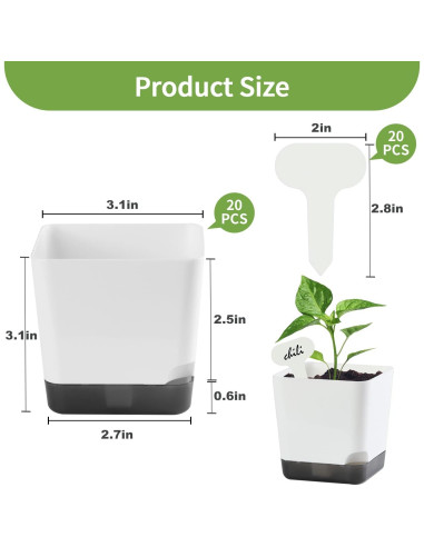 Macetas pequeñas Oliz 7.87 cm, paquete de 20 macetas blancas
