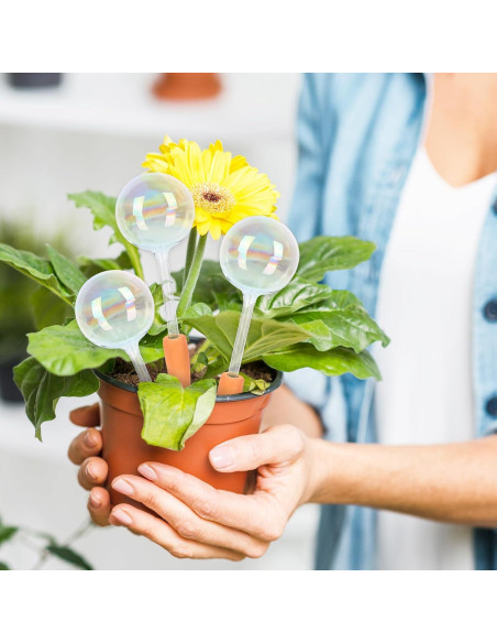 6 Esferas de Riego Automático de Vidrio Iridiscente para Plantas 6 Esferas de Riego Automático de Vidrio Iridiscente para Plantas