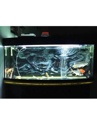 Póster de Fondo para Acuario VIP.LINE 61x30 cm PVC HD