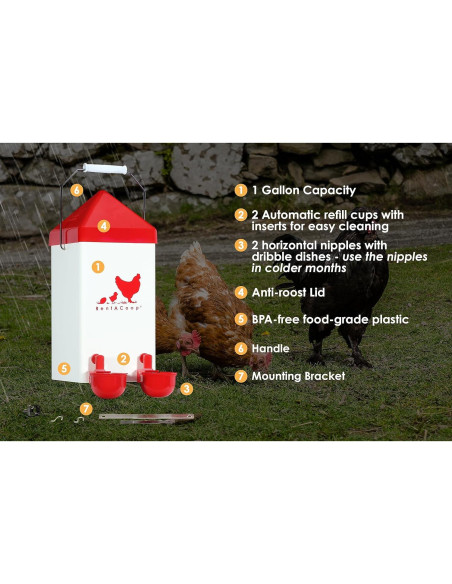 Bebedero Automático para Pollos RentACoop 3.78L con 2 Tazas Bebedero Automático para Pollos RentACoop 3.78L con 2 Tazas