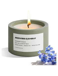 Vela Aromática de Cera de Soja BOLGRLONG en Taza Cemento 8cm