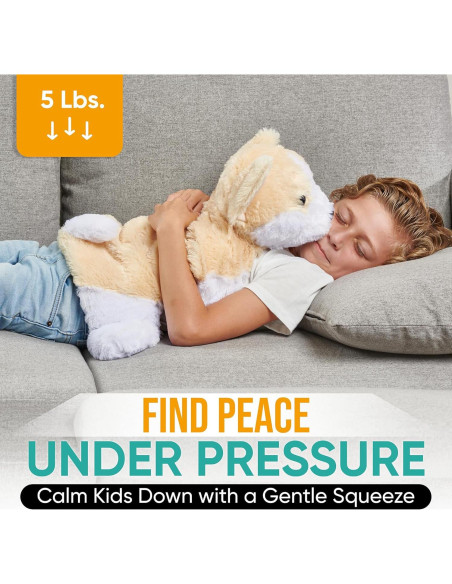 Manta Pesada Friendly Cuddle Rosie 2.27 kg para Niños y Adultos Manta Pesada Friendly Cuddle Rosie 2.27 kg para Niños y Adultos