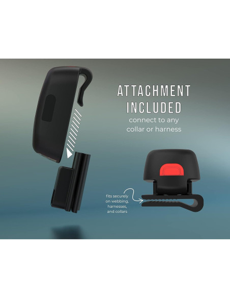 Luz LED Recargable TUG para Perros - Clip-on Seguridad Nocturna Luz LED Recargable TUG para Perros - Clip-on Seguridad Nocturna