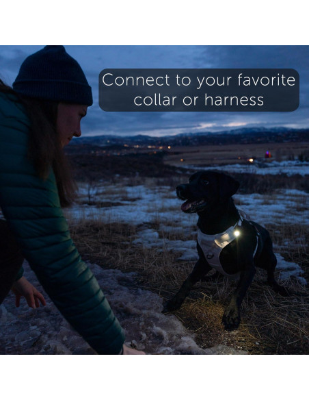 Luz LED Recargable TUG para Perros - Clip-on Seguridad Nocturna Luz LED Recargable TUG para Perros - Clip-on Seguridad Nocturna