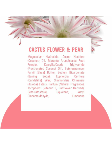 Desodorante Vegano Schmidt's Flor de Cactus y Pera 75g Desodorante Vegano Schmidt's Flor de Cactus y Pera 75g