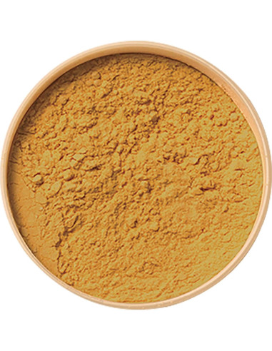 Polvo Suelto Fijador Ruby Kisses HD 11.34g - Acabado Mate
