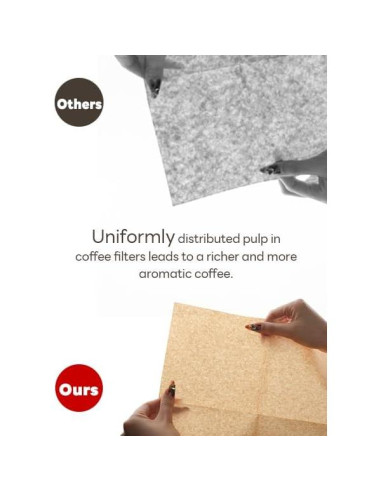 Filtros de café preplegados Bake Choice 50 unidades 6"