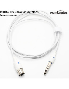 Cable MIDI Macho a Macho 1.52 m PAINTAUDIO 5 Pines 2