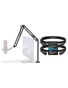 Soporte de brazo de micrófono InnoGear con 2 cables XLR 1.83m