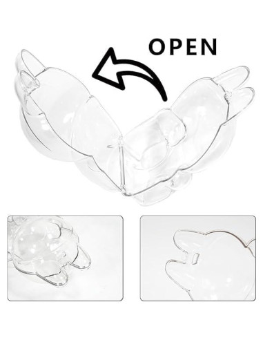 Funda Protectora Acrílica para Muñeca Sentada 15.5 cm