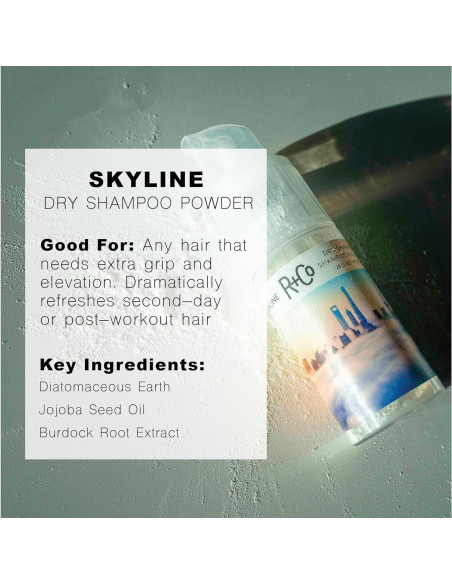 Polvo de Champú Seco R+Co Skyline 29.57 ml - Absorbe Aceite y Aumenta Volumen Polvo de Champú Seco R+Co Skyline 29.57 ml - Absorbe Aceite y Aumenta Volumen