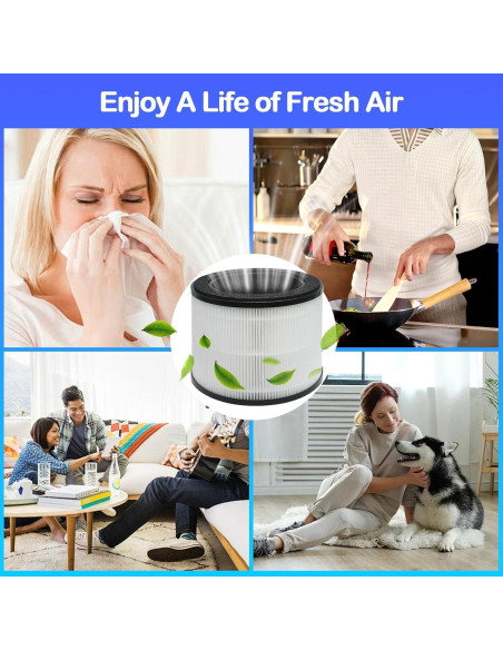 Paquete de 2 Filtros HEPA WAWINY para Purificador Coway Airmega 100 Paquete de 2 Filtros HEPA WAWINY para Purificador Coway Airmega 100