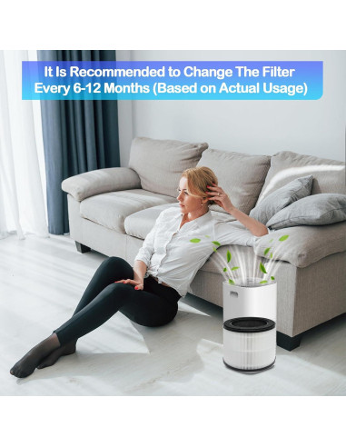 Paquete de 2 Filtros HEPA WAWINY para Purificador Coway Airmega 100