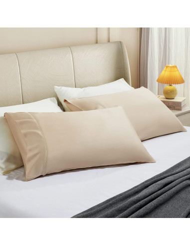 Funda de Almohada Reina Stnomy Eucalipto Tencel 300TC Champagne