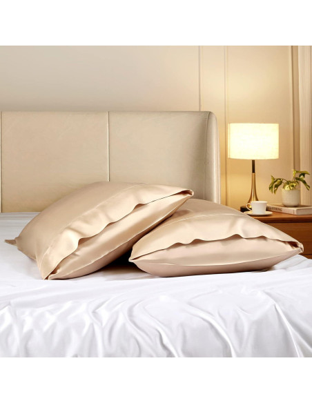 Funda de Almohada Reina Stnomy Eucalipto Tencel 300TC Champagne Funda de Almohada Reina Stnomy Eucalipto Tencel 300TC Champagne